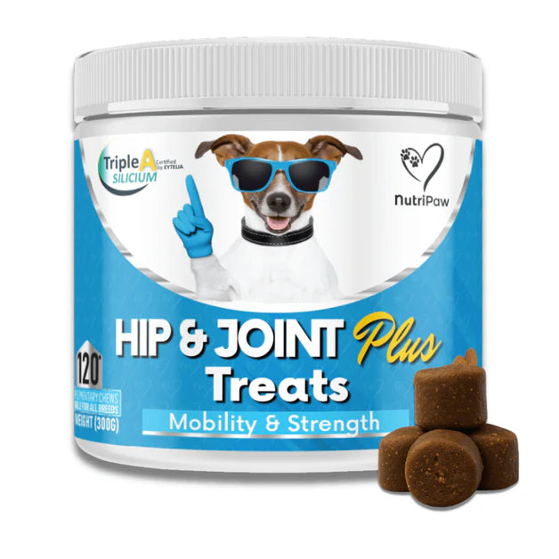 NutriPaw All-Itch Immunity Treats For Dogs - Vet-approved joint chews