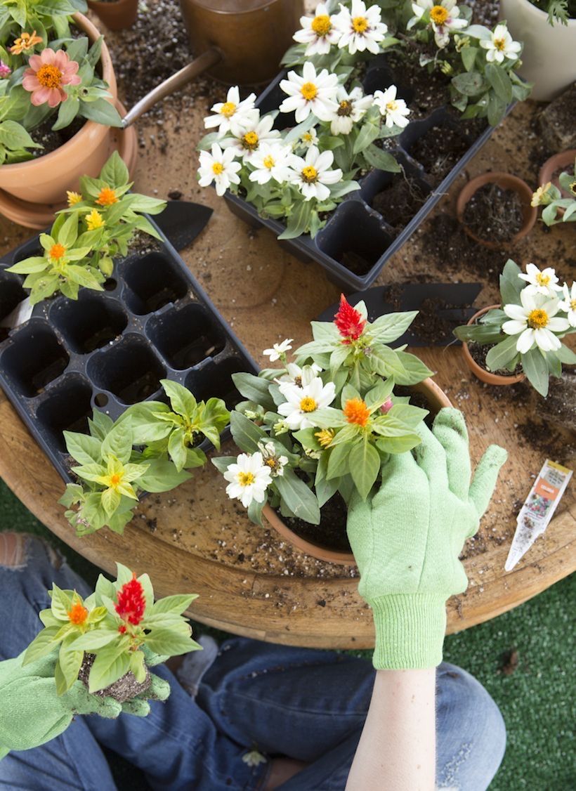 Gardening