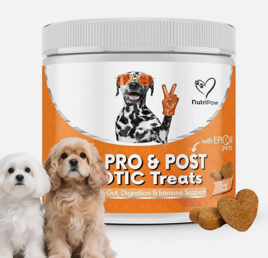 NutriPaw Pre, Pro & Postbiotic Digestive Treats For Dogs - Gut Health, Sensitive
