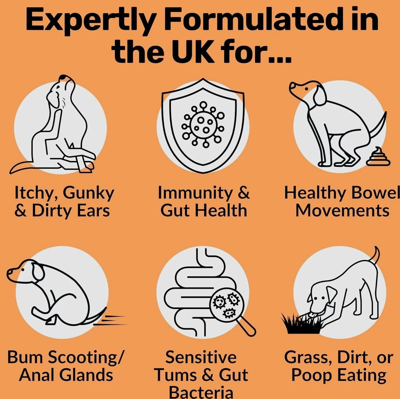 NutriPaw Pre, Pro & Postbiotic Digestive Treats For Dogs - Gut Health, Sensitive