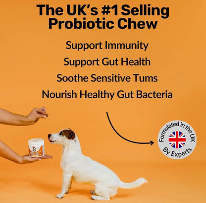 NutriPaw Pre, Pro & Postbiotic Digestive Treats For Dogs - Gut Health, Sensitive