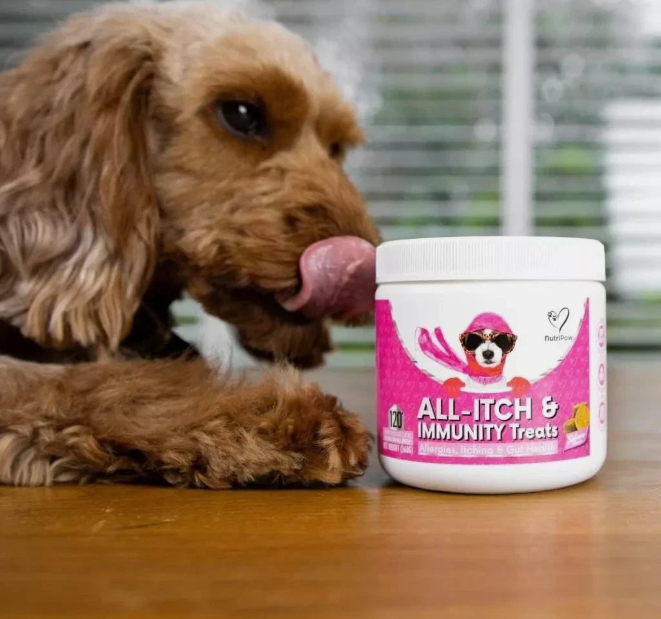 NutriPaw All-Itch Immunity Treats For Dogs - Soothe Itchy Paws, Eyes, Ears, Skin