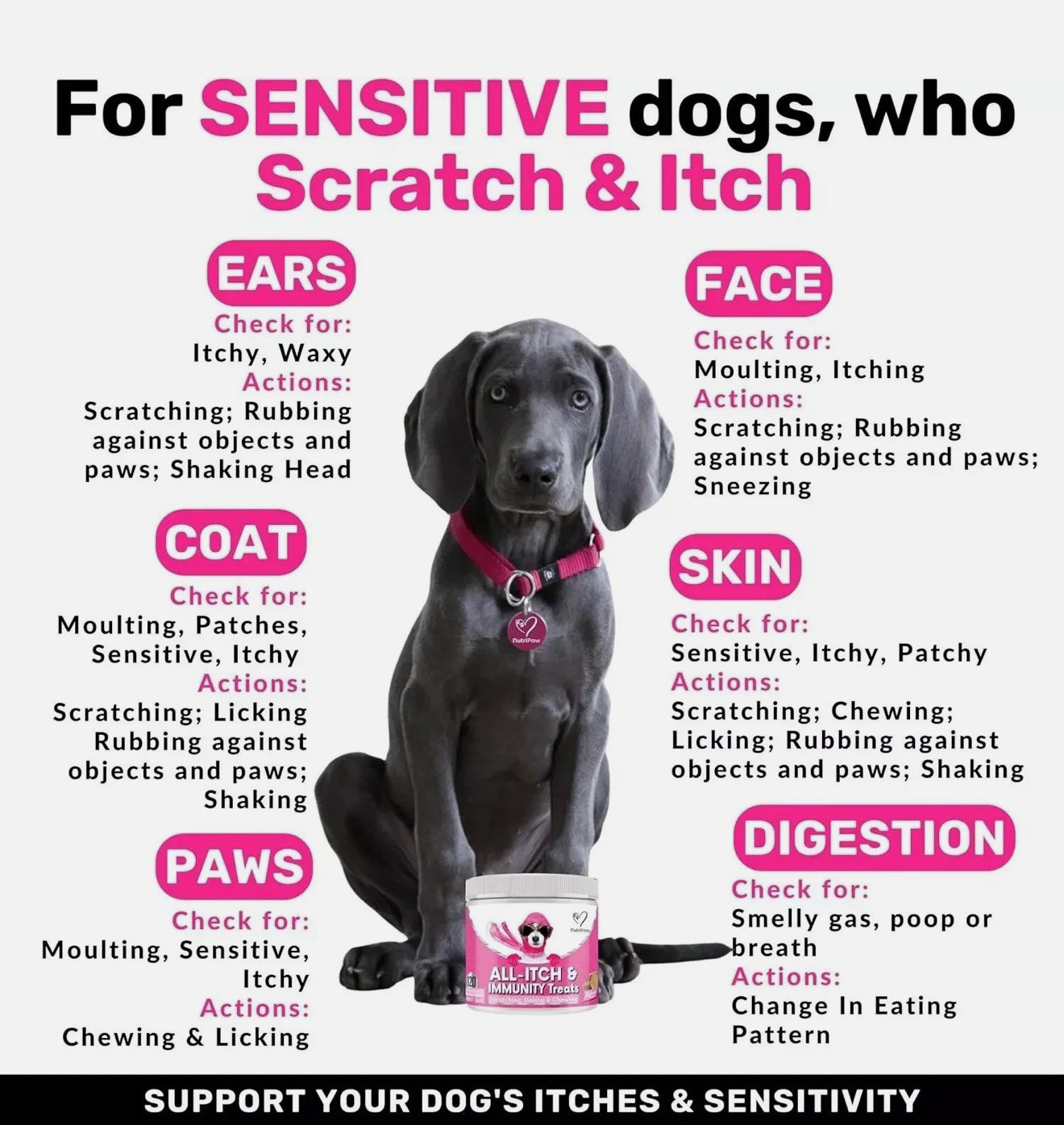 NutriPaw All-Itch Immunity Treats For Dogs - Soothe Itchy Paws, Eyes, Ears, Skin