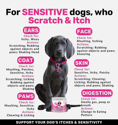NutriPaw All-Itch Immunity Treats For Dogs - Soothe Itchy Paws, Eyes, Ears, Skin